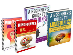 Mindfulness PLR Niche-in-a-Box