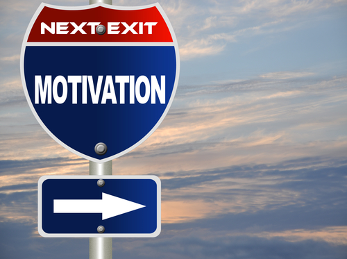 Motivation and Success PLR